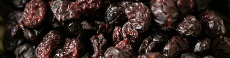 The Short History Of Dried Fruits – When did humans started drying Fruits?