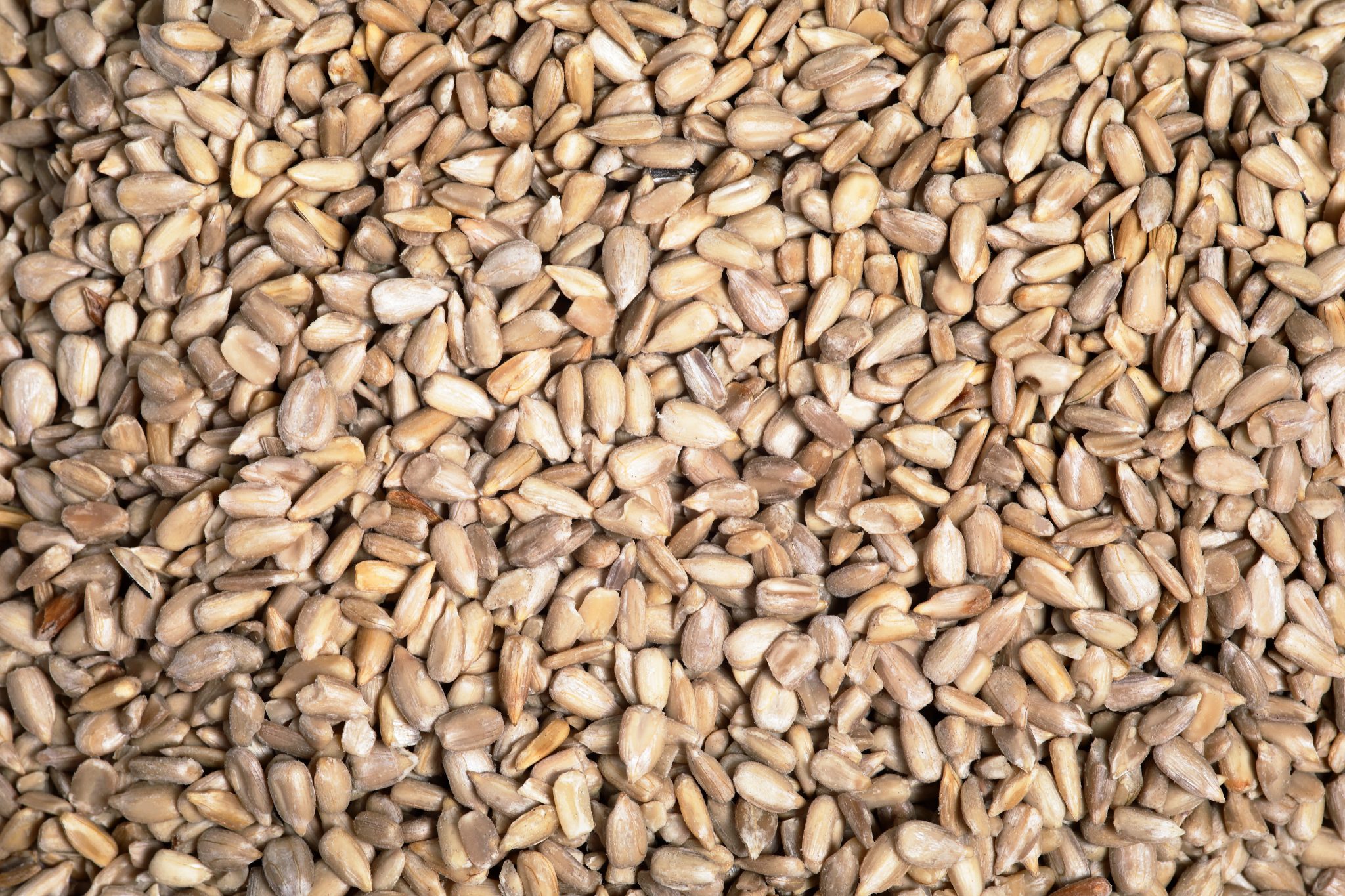 Pumpkin Seeds to Crave: Natural, Nutty, and Irresistible 3 ChandraFoods Sunflower Seeds in eco-friendly packaging, showcasing premium whole food seeds rich in nutrients and perfect for healthy snacking.