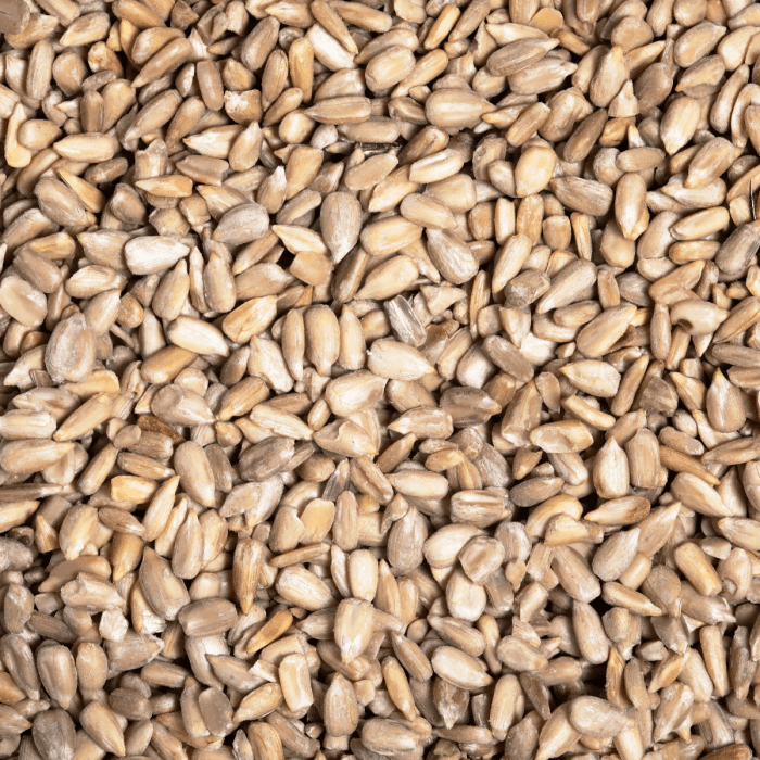Sunflower-Seeds-by-Chandra-Foods-1 Sunflower-Seeds-by-Chandra-Foods-1
